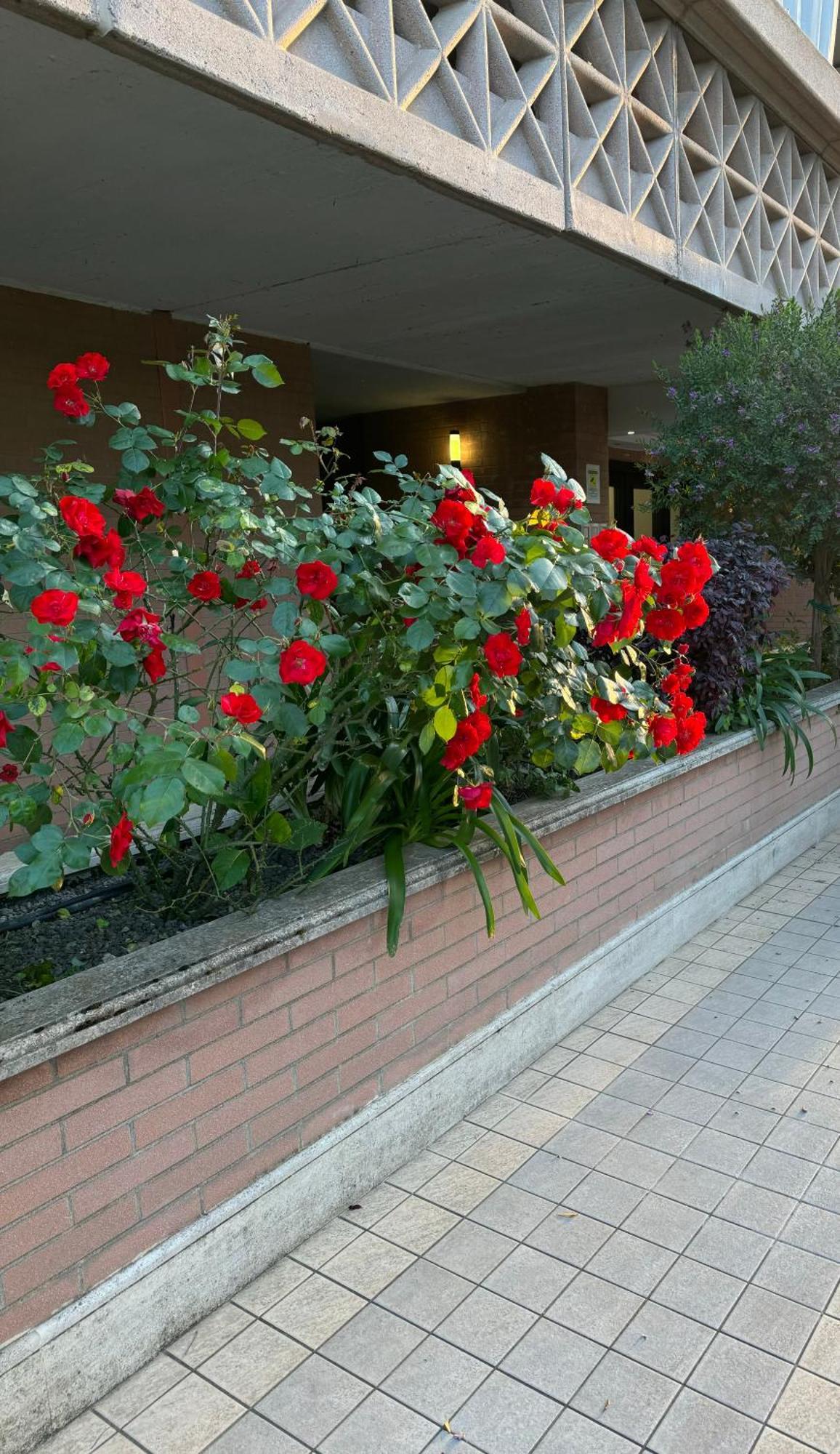 Flaminia Home Рим Экстерьер фото